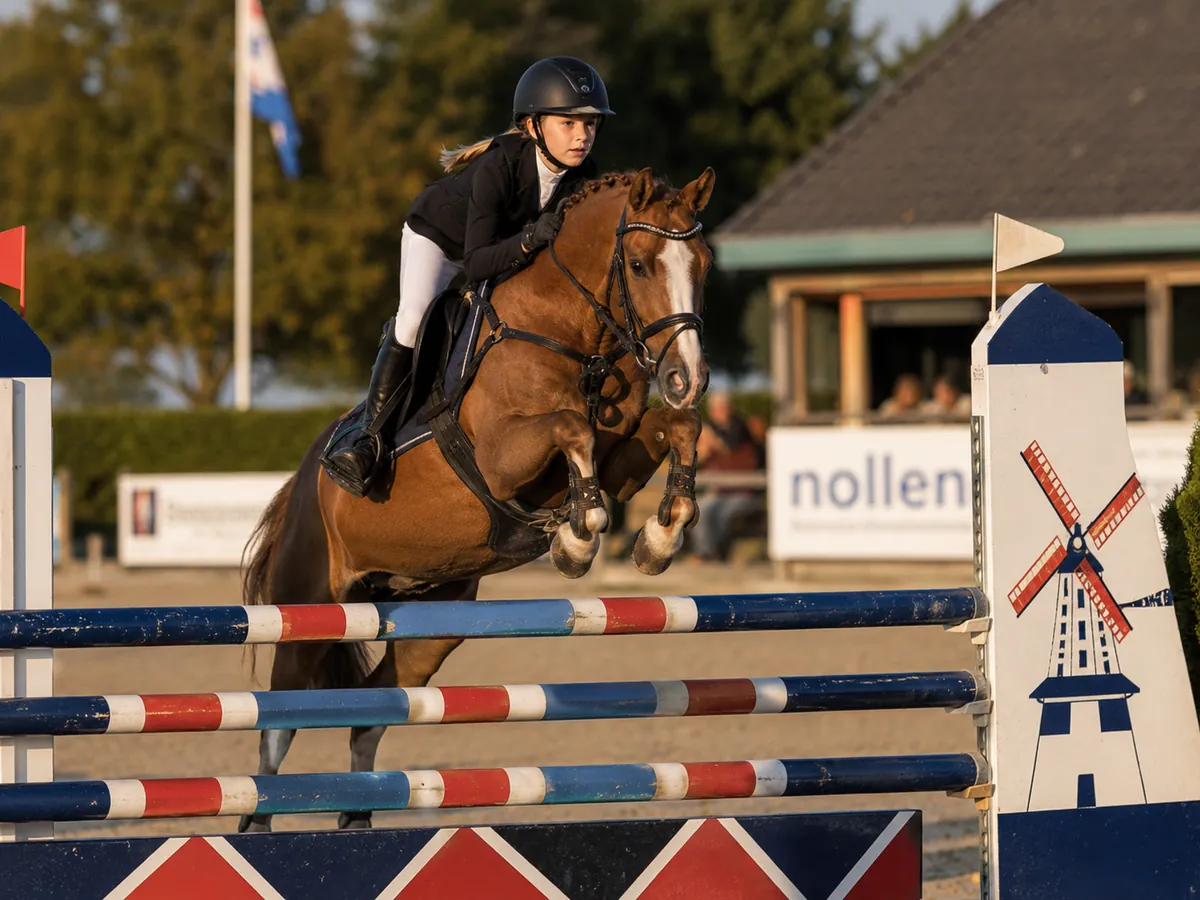 Ponykamp Manege Laarbrug